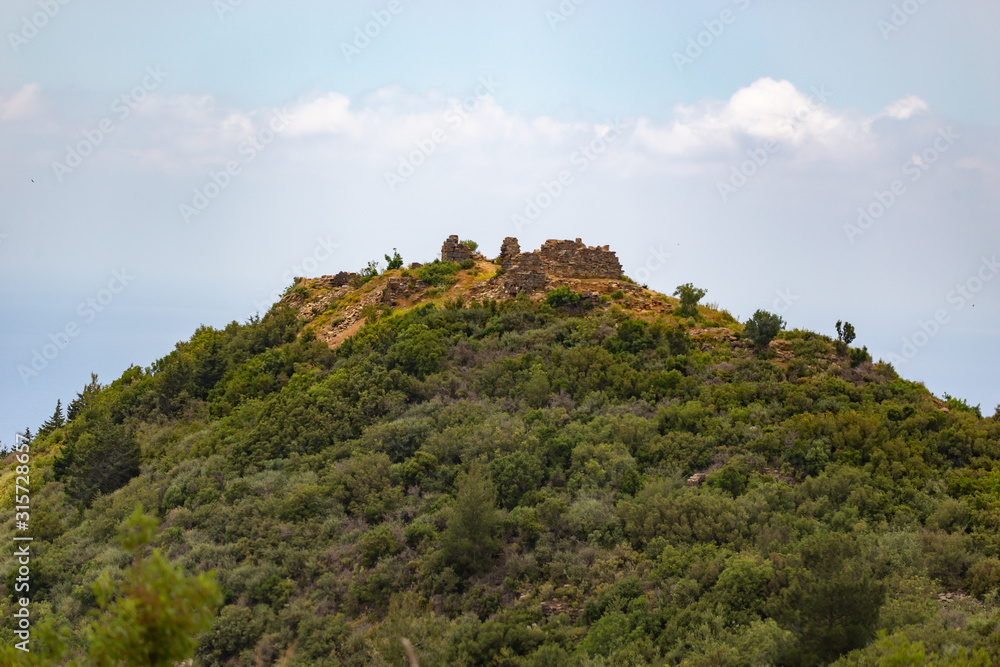 Ruins on top of the mountain covered by forest.