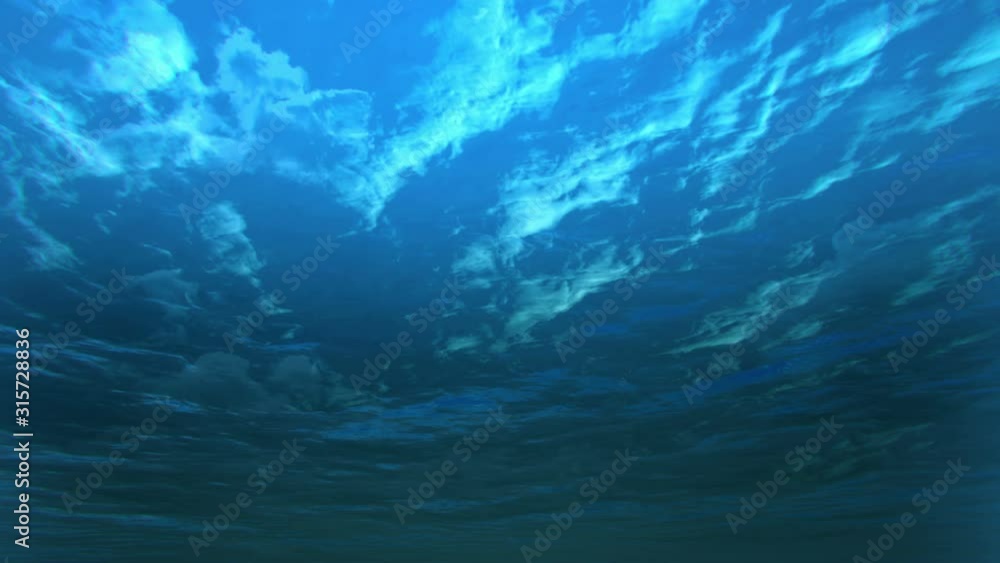 deep blue ocean with underwater angle deep blue ocean with underwater angle