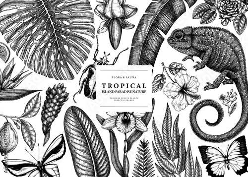 Tropical banner design. Vector frame with hand drawn tropical plants, exotic flowers, palm leaves, insects and chameleon. Vintage wildlife background. Summer template with tropical plants and animals.