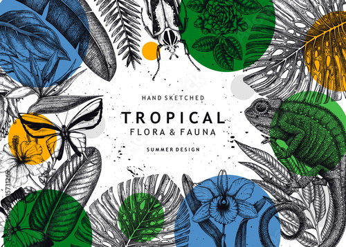 Tropical banner design. Vector frame with hand drawn tropical plants, exotic flowers, palm leaves, insects and chameleon. Vintage wildlife background. Summer template with tropical plants and animals.