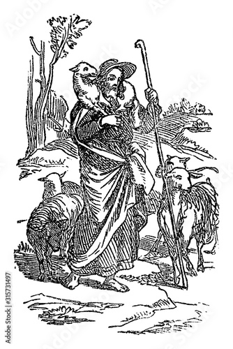 Vintage drawing or engraving of biblical story of Jesus as good shepherd holding sheep who cares about his sheep.Bible, New Testament,John 10. Biblische Geschichte , Germany 1859.