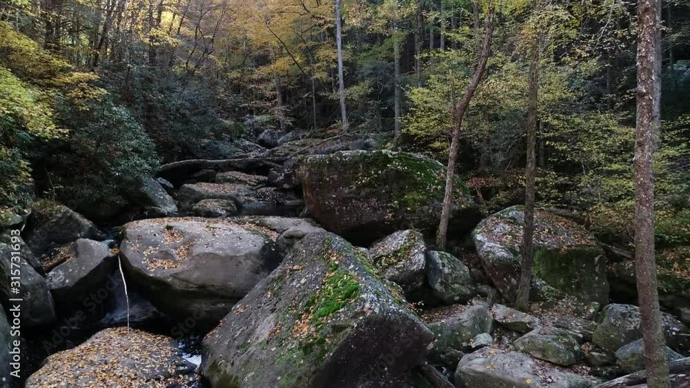 Bark Camp Creek in autumn forest, aerial