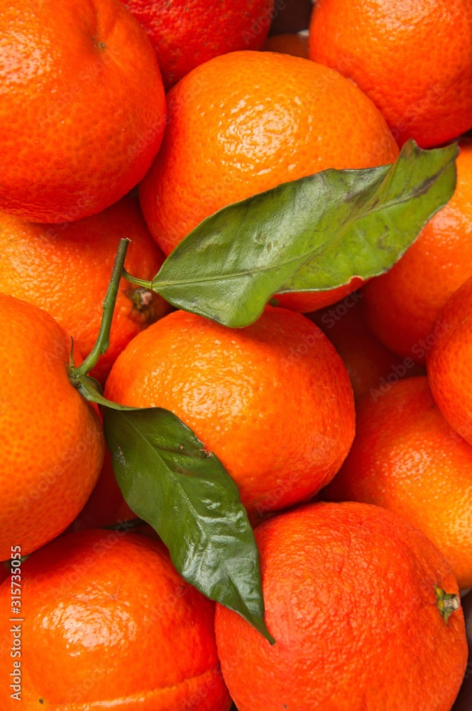bright orange clementines with green leaves bright orange clementines with green leaves