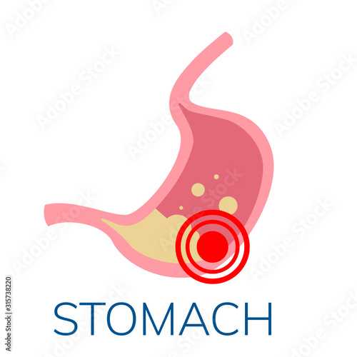  Simple, flat illustration of the stomach. Stomach pain icon 