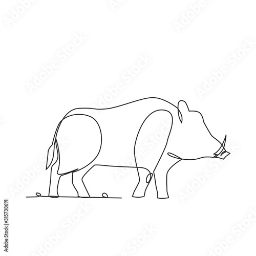 Fotografia Wild boar one line drawing on white isolated background.