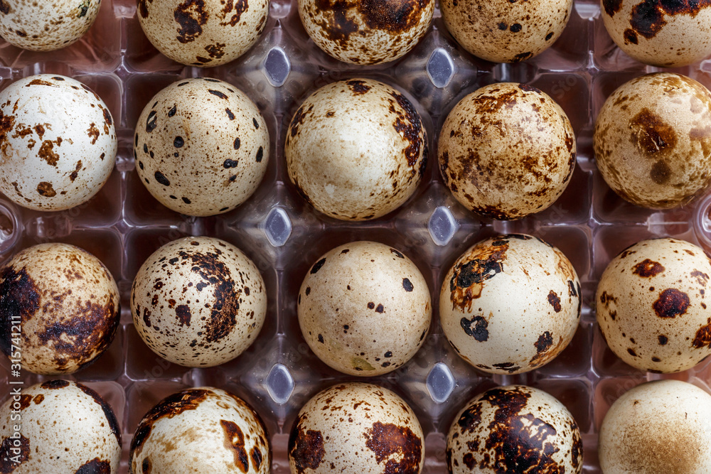 Fototapeta premium Quail eggs tray, top view. Small raw eggs. Buy healthy food.Quail eggs are more nutritious and healthier than chicken eggs,contain 13% protein.healthy food concept