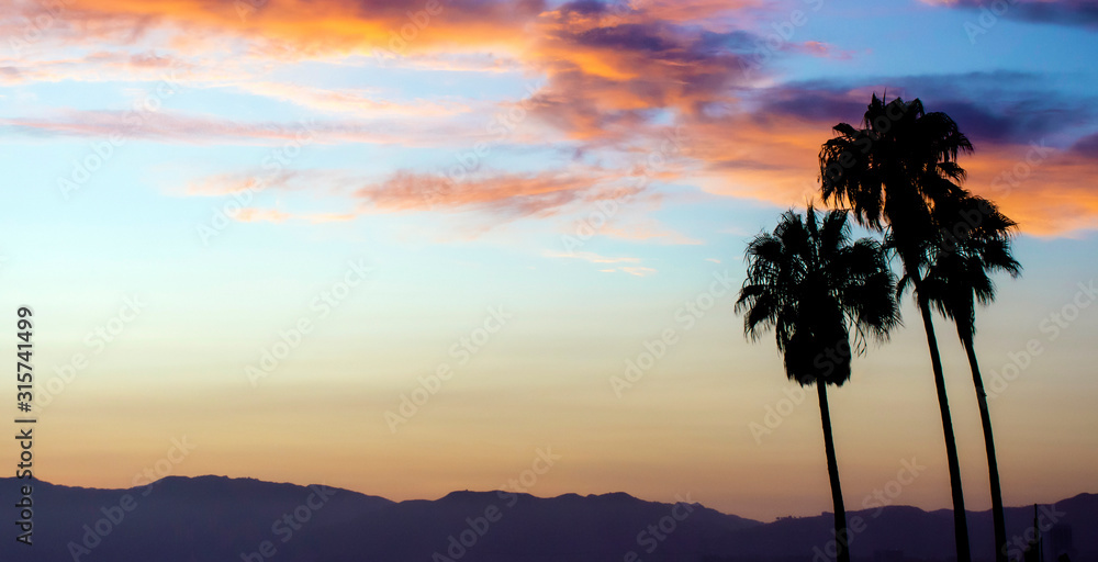 Wide angle banner shape view of beautiful California sunset showing three palm trees silhouetted against colorful sky