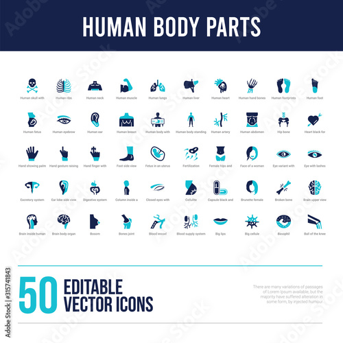 50 human body parts concept filled icons