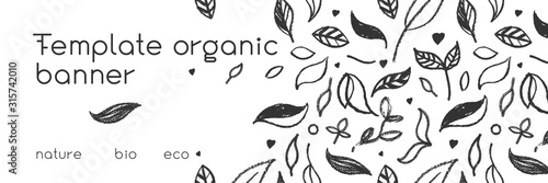 Organic food background for eco store. Eco-friendly icons set. Natural logo elements. Bio labels. Organic banner template for healthy design. Vector leaves pattern seamless. Agriculture growth logo.