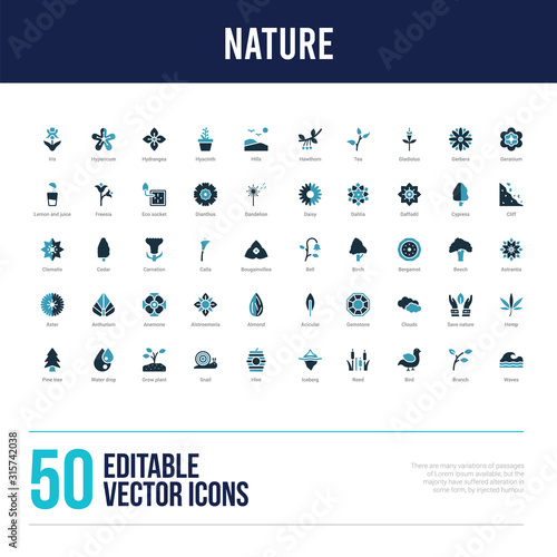 50 nature concept filled icons