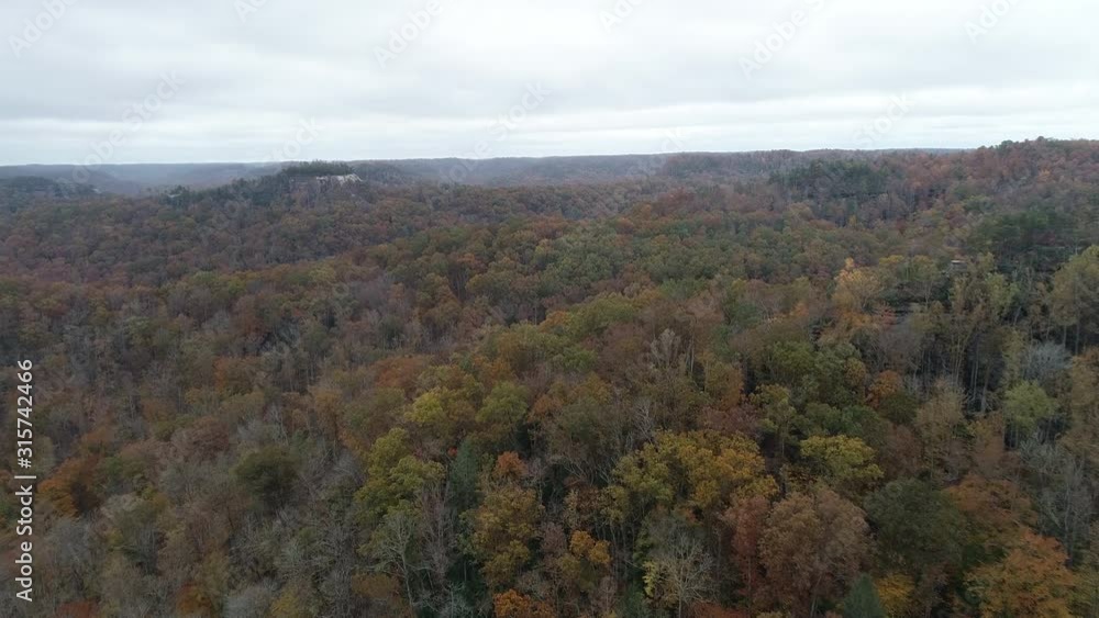 Wide aerial, autumn forest landscape in Kentucky Wide aerial, autumn forest landscape in Kentucky