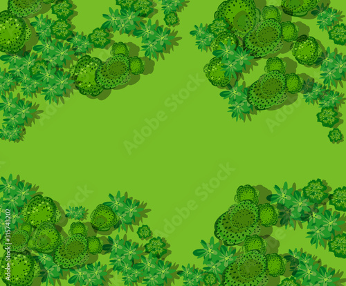 Top view of the countryside with forest