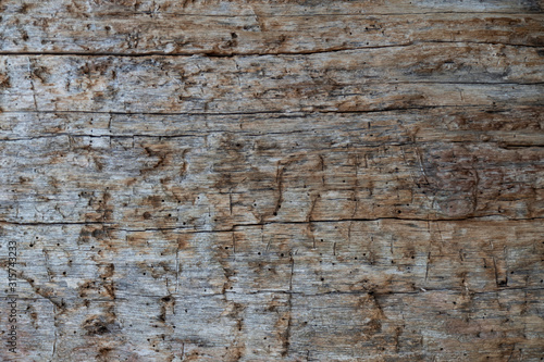 Texture of an old wooden plank