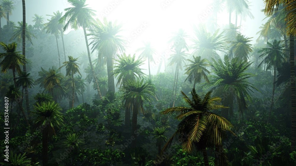 Fototapeta premium Dżungla we mgle, palmy we mgle, poranna dżungla, renderowanie 3D