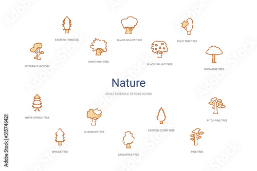 nature concept 14 colorful outline icons. 2 color blue stroke icons