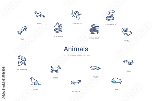 animals concept 14 colorful outline icons. 2 color blue stroke icons
