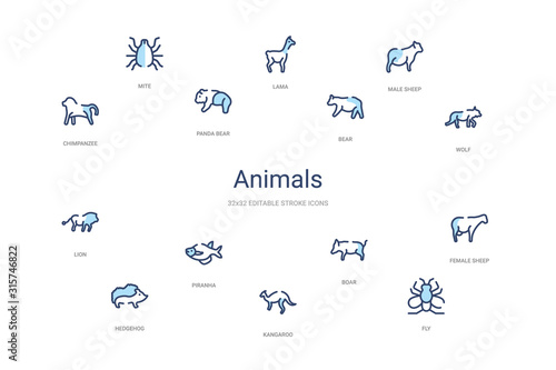 animals concept 14 colorful outline icons. 2 color blue stroke icons