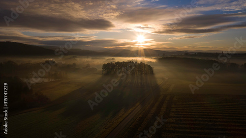 dreamlike sunrise at fog over a forest in the Bavarian forest 