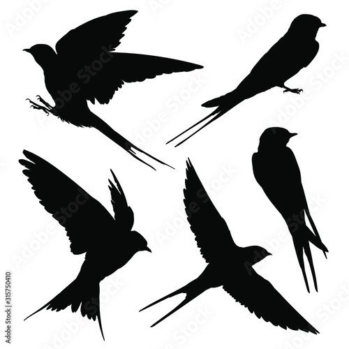 Swallow silhouette set. Vector illustration