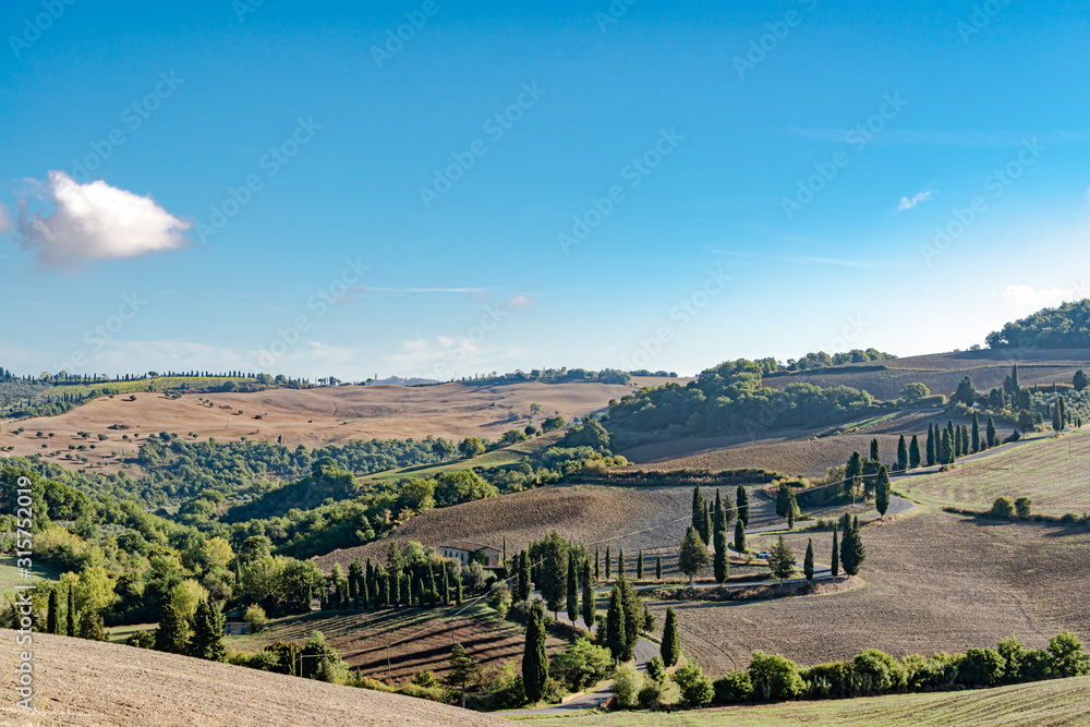Naklejka premium Famous road near small city Monticchiello, Tuscany