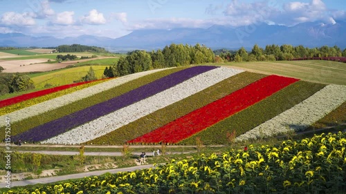 4K time lapse of Shikisai no Oka flower garden in Biei town, Hokkaido