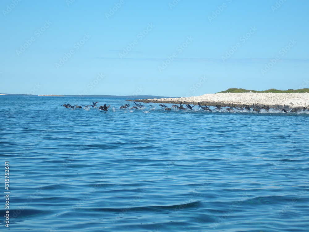 Obraz premium Sea views of Pag island Croatia