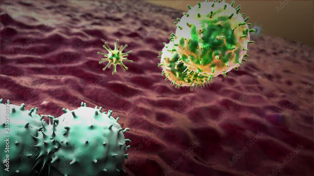 Coronavirus and antibodies, antibodies kills the cells, 3d rendered