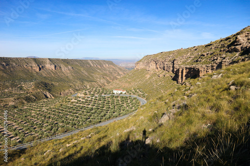Beautiful landscape of Gor river valley in spain with olive tree grove