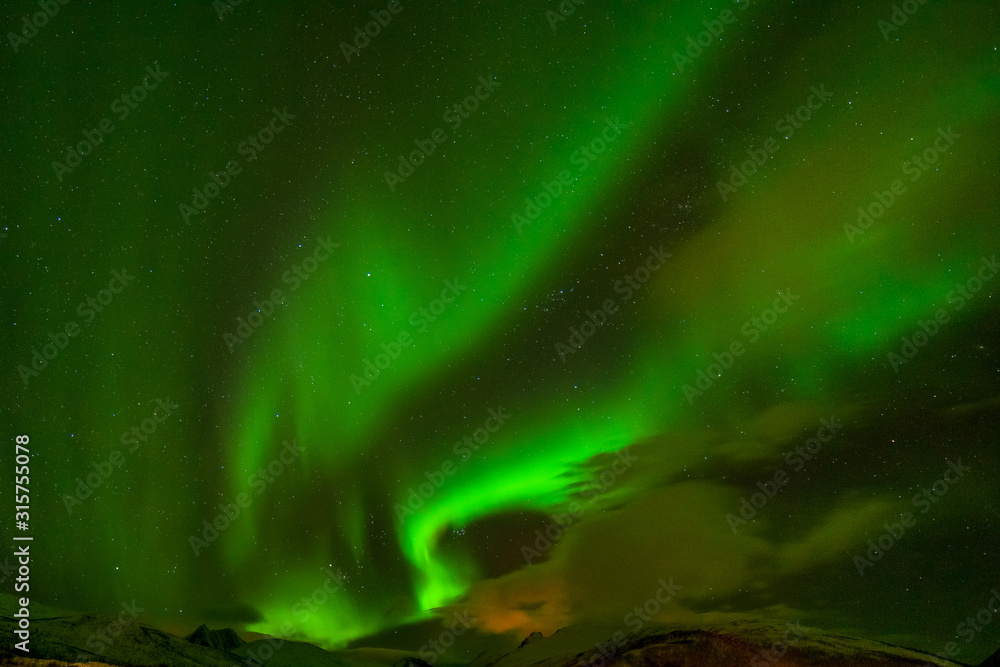 amazing northern lights, aurora borealis over the mountains in the North of Europe - Lofoten islands, Norway