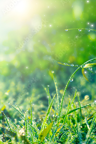 Spring green background. Gr...