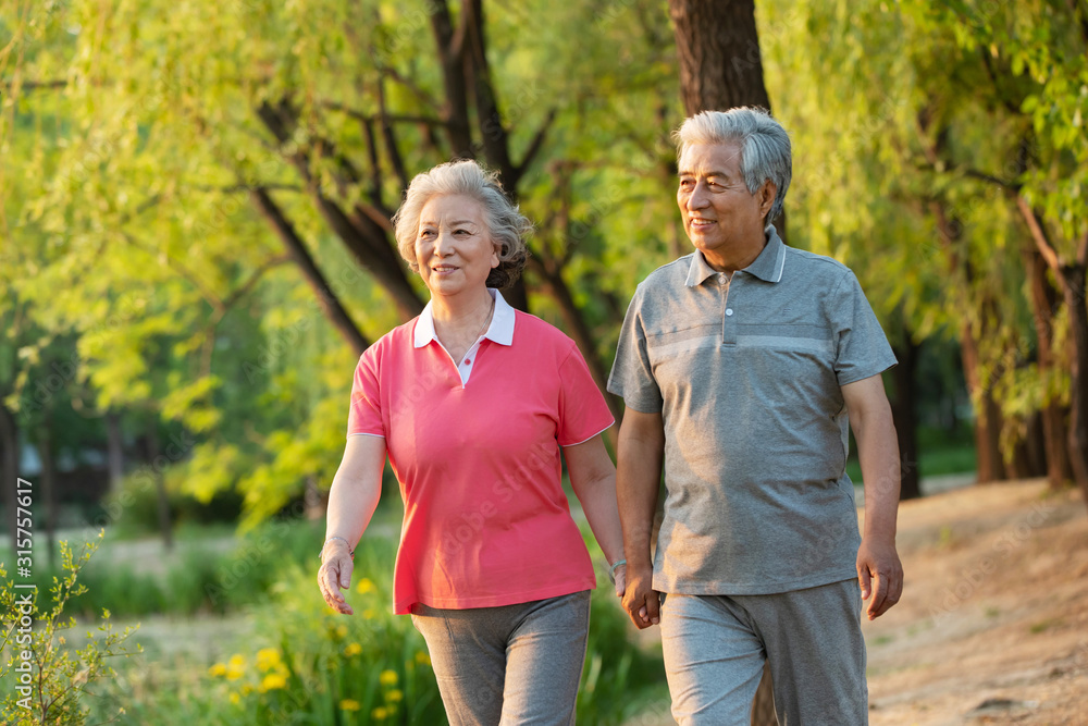 The happiness of the elderly couple walking in the park The happiness of the elderly couple walking in the park