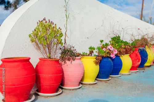Flower pots of different colors outdoors. Row of colourful clay pots with plants on Santorini island © maryviolet