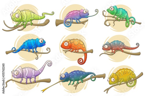 Chameleon lizard icons of reptile animals vector design. Colorful chameleons sitting on branches of exotic tropical forest or jungle tree with long tails, tongues and bright camouflage patterns