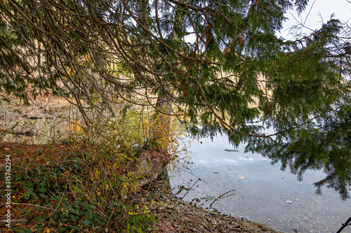 shoreline on bainbridge island with glow from the setting sun