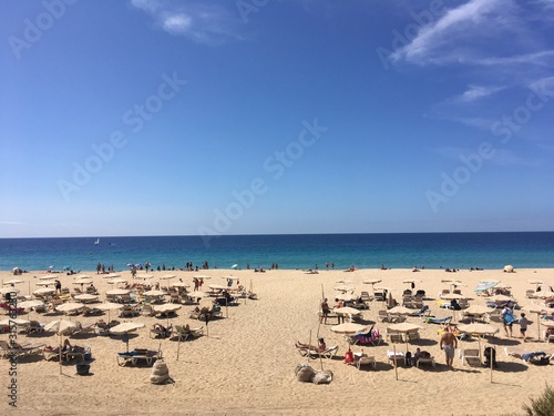beach with chairs and umbrellas © Shafiga