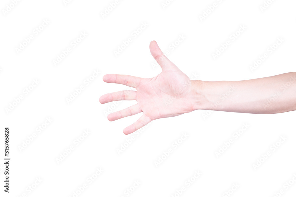 open caucasian palm isolated on a white background. gesturing concept.