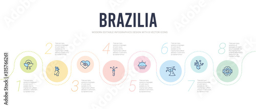 brazilia concept infographic design template. included brazil, fireworks, palm tree, sun, confetti, heart icons
