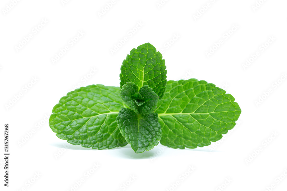 fresh green mint leaves isolated on white background. top view. fresh green mint leaves isolated on white background. top view.
