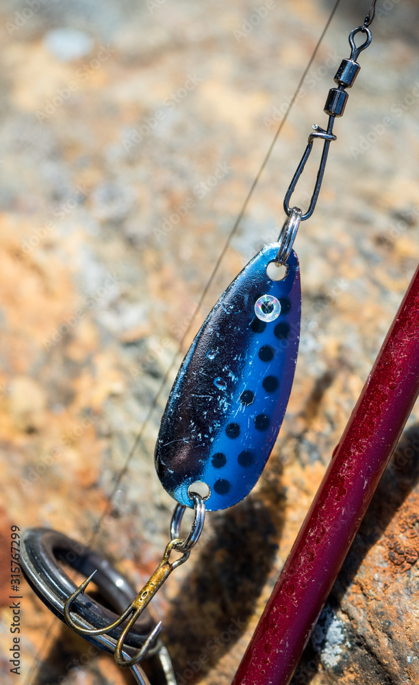 Metallic blue fishing lure (spoon) with triplet hook attached to