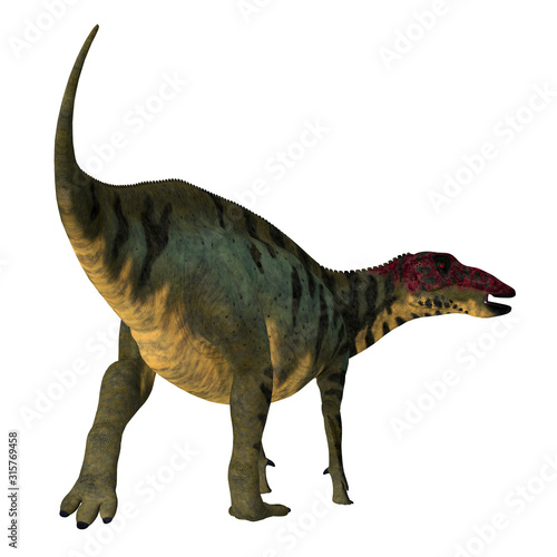 Shuangmiaosaurus Dinosaur Tail - Shuangmiaosaurus was an iguanodont herbivore dinosaur that lived during the Cretaceous Period of China. © Catmando