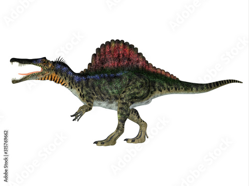 Spinosaurus Dinosaur Side Profile - Spinosaurus was a carnivorous dinosaur that hunted in Africa during the Cretaceous Period. © Catmando