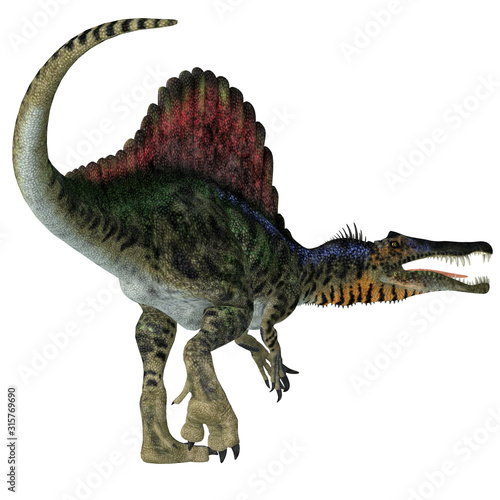 Naklejka Spinosaurus Dinosaur Tail - Spinosaurus was a carnivorous dinosaur that hunted in Africa during the Cretaceous Period.
