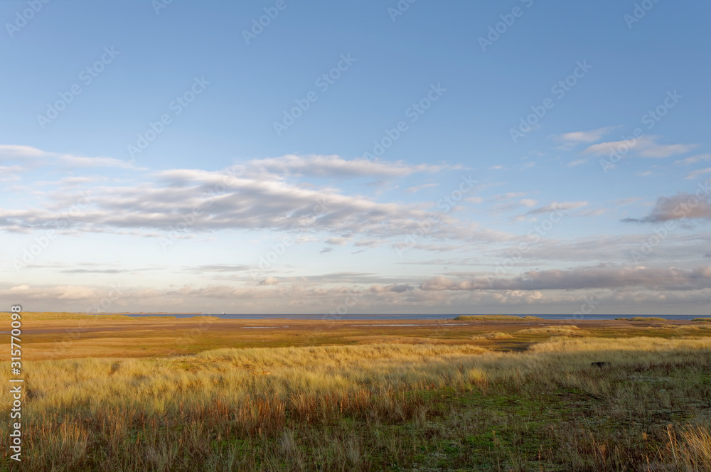 Tayport Heath stretching out to the edge of the North Sea in the distance on a bright December evening, with the golden light on the grass covered dunes.