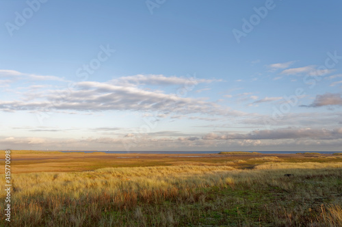 Tayport Heath stretching out to the edge of the North Sea in the distance on a bright December evening, with the golden light on the grass covered dunes. © Julian