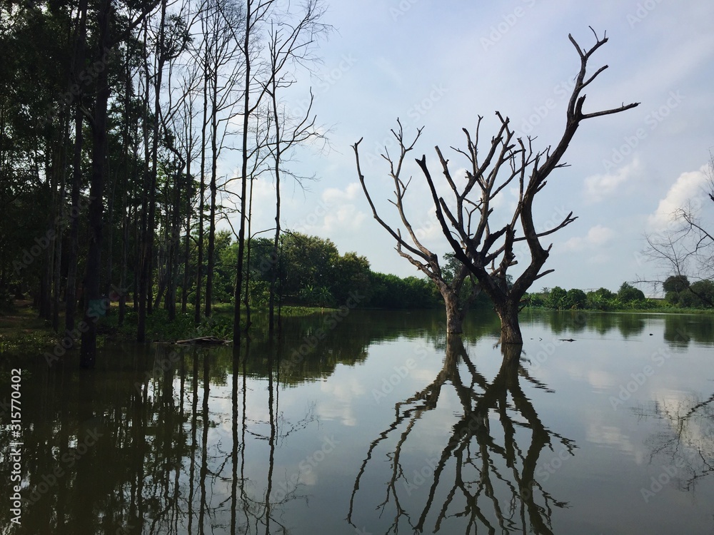 Obraz premium Battambang Cambodge