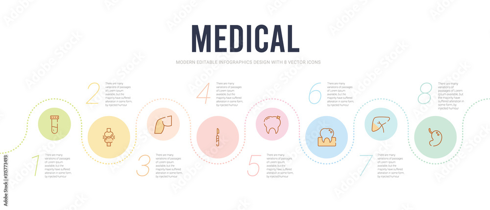 medical concept infographic design template. included stomach, liver, molar, premolar, scalpel, knee icons medical concept infographic design template. included stomach, liver, molar, premolar, scalpel, knee icons