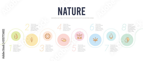 nature concept infographic design template. included water drop, pine tree, hemp, save nature, clouds, gemstone icons