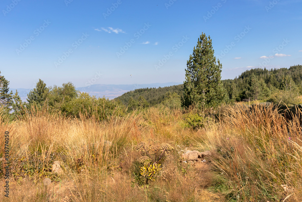 Autumn landscape of Vitosha Mountain, Bulgaria Autumn landscape of Vitosha Mountain, Bulgaria