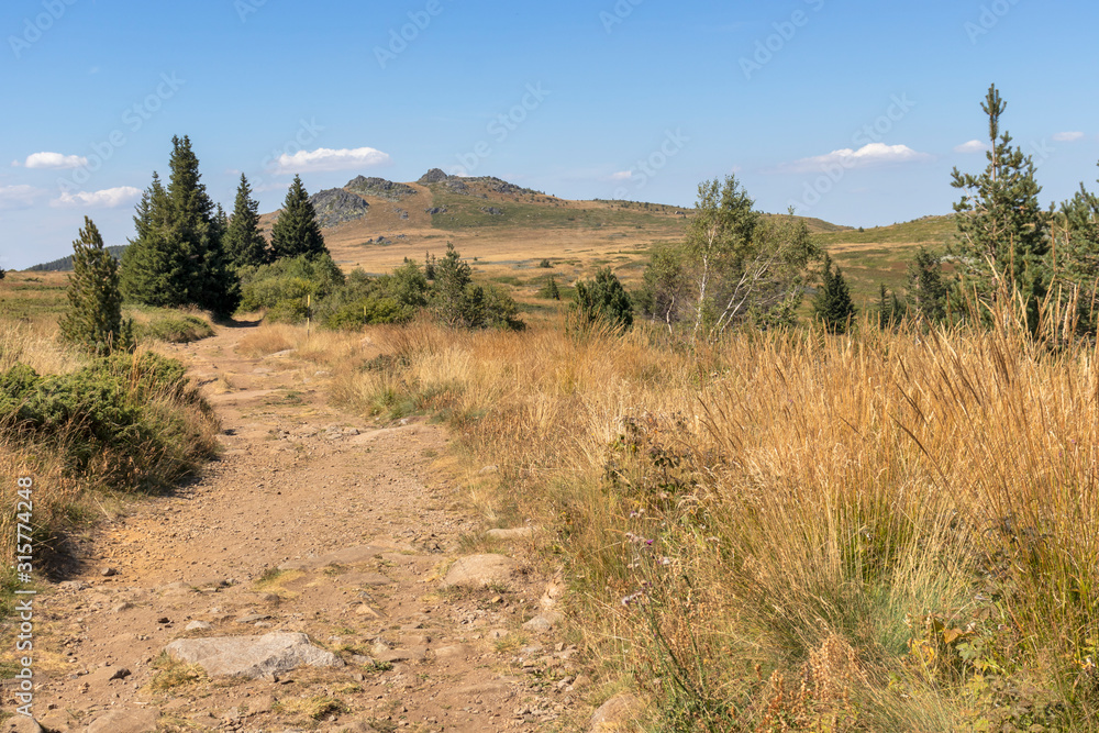 Autumn landscape of Vitosha Mountain, Bulgaria