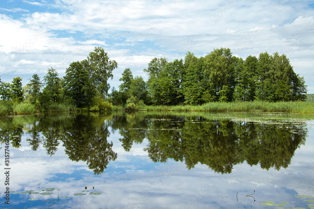 Symmetry. Symmetrical reflection of trees in water in summer. Green trees and blue sky